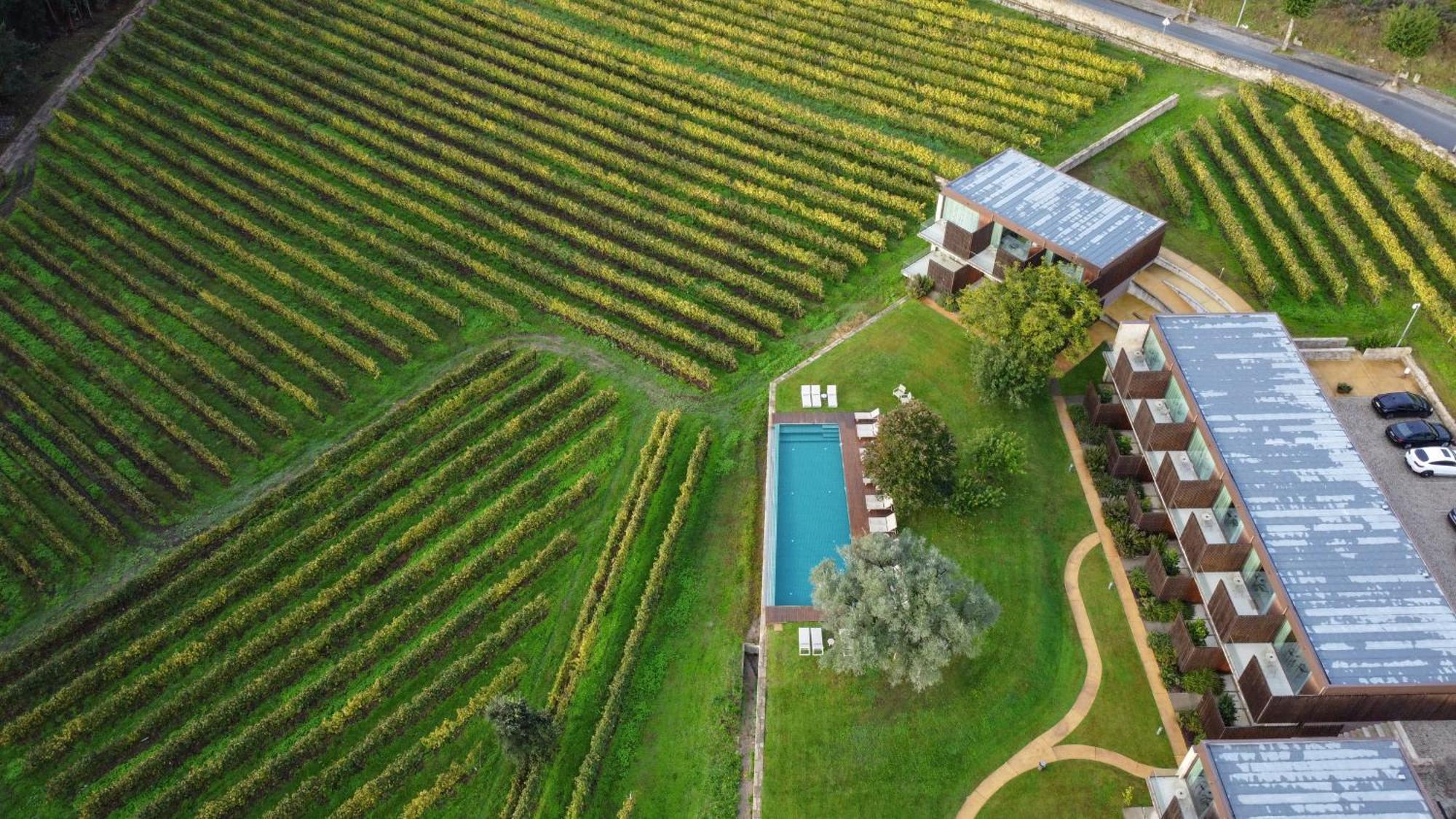 Torre De Gomariz Wine & Spa Hotel Cervães 외부 사진